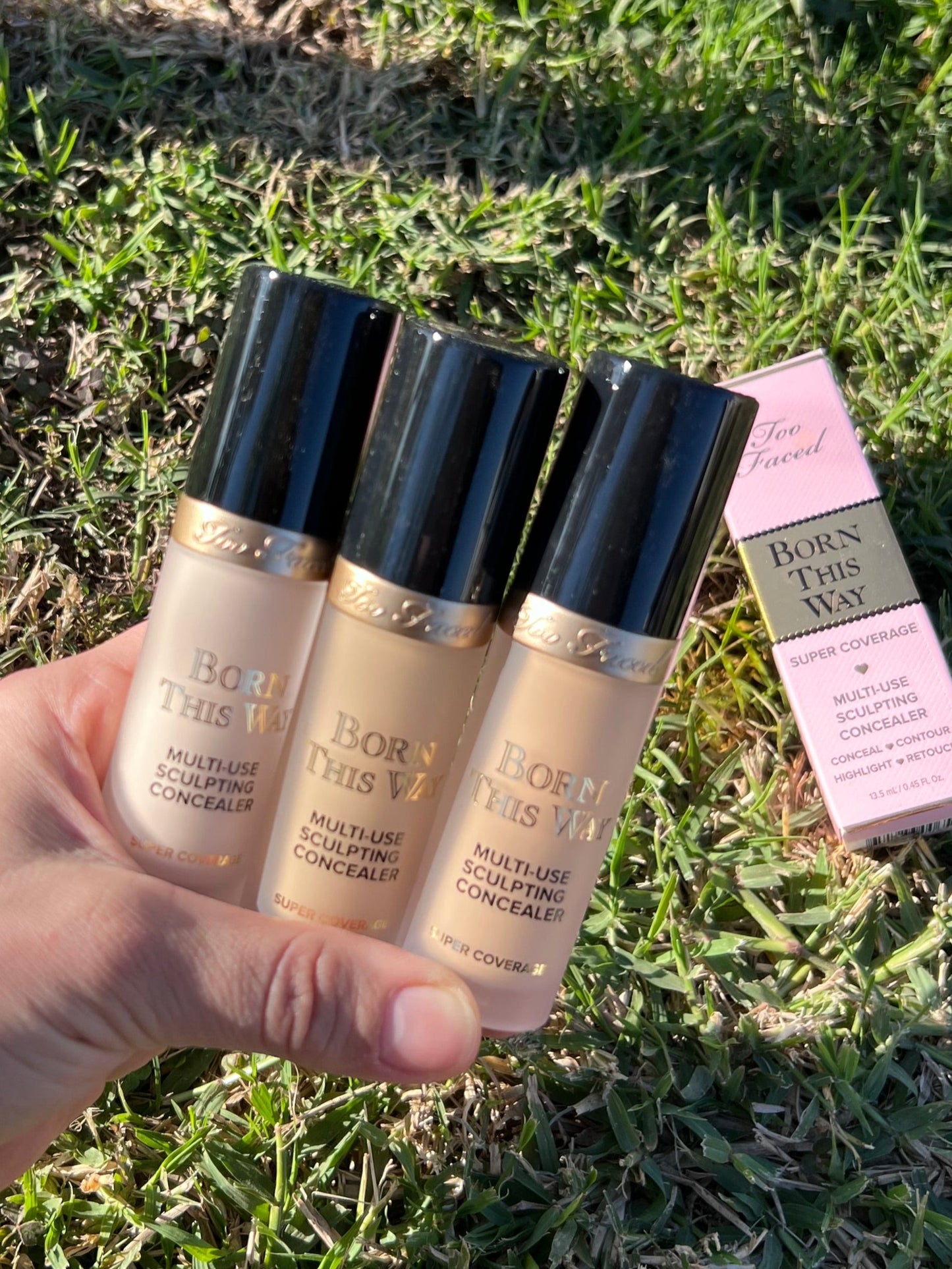 Too Face Concealer